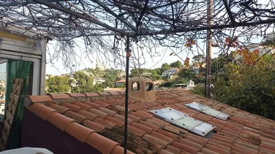 Défrichage pour travaux. 