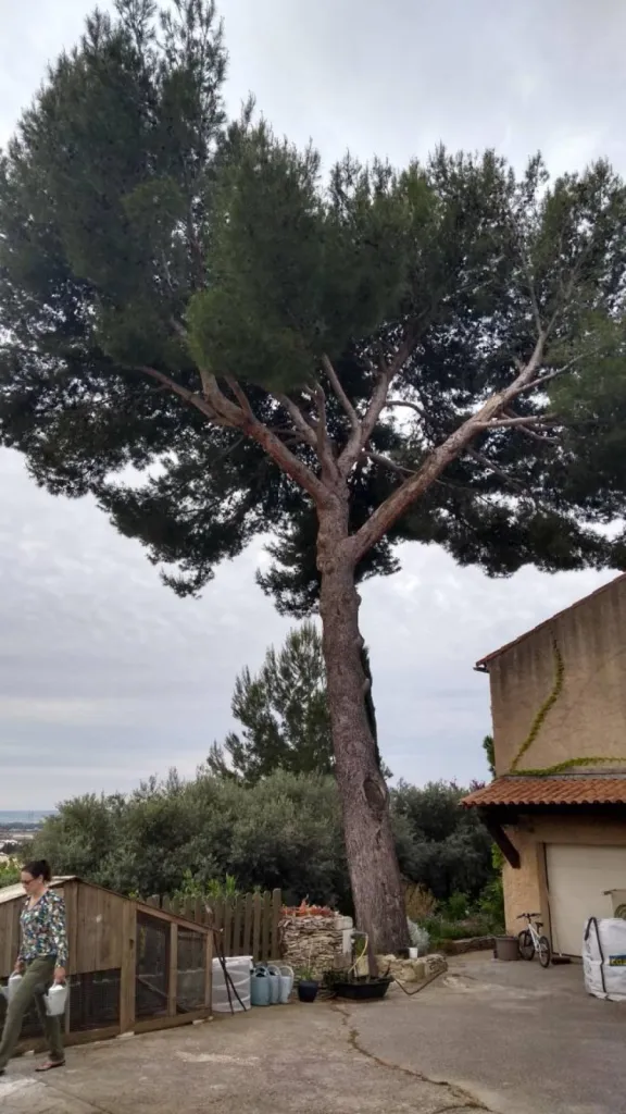 Notre zone d'activité pour ce serviceCréer un plan 3D de votre jardin avec un paysagiste