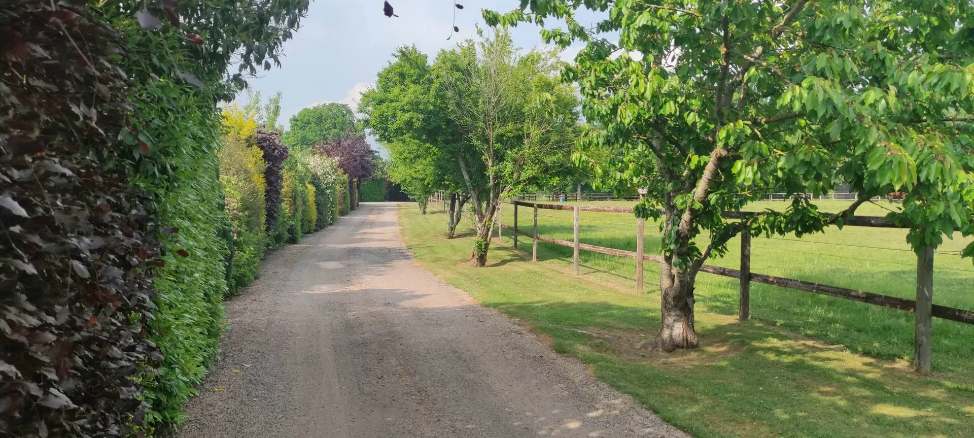 Vendre, à 5 minutes de la gare de MEZIDON-CANON (14270) et à 30 minutes de CAEN (14000) et de CABOURG (14390), propriété équestre de caractère avec forage, paddocks, hangar et maison familiale.