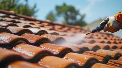 Entretenir sa toiture contre l’humidité et la mousse à Bayonne et Biarritz
