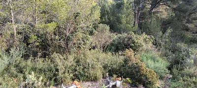 devis paysagiste marseille