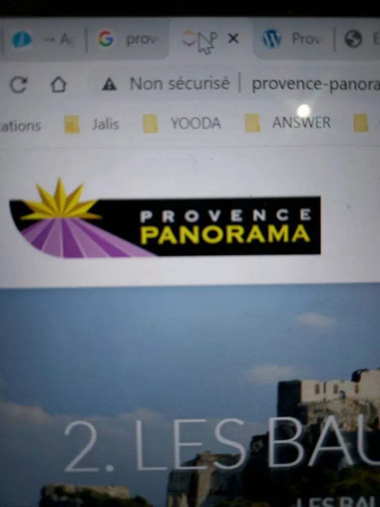 Transfert en véhicule privé d'un groupe de japonais du secteur d'Avignon Marcoule vers Marseille Marseille aéroport de Provence