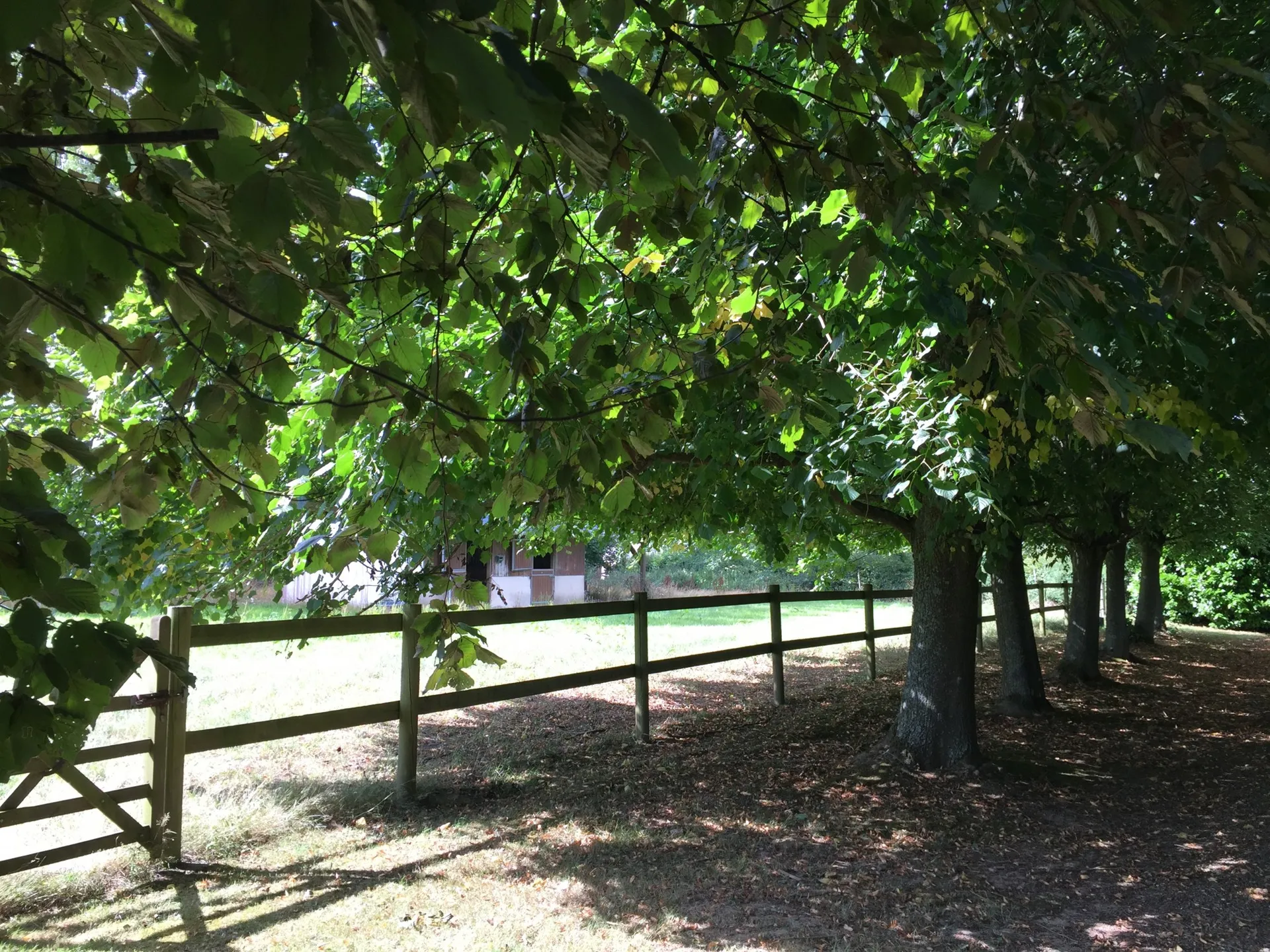 agence immobilière vente de propriétés à Lyons-la-Forêt 27480