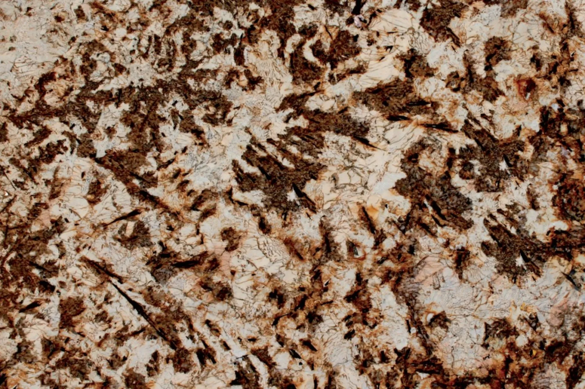 Splendor Gold granit