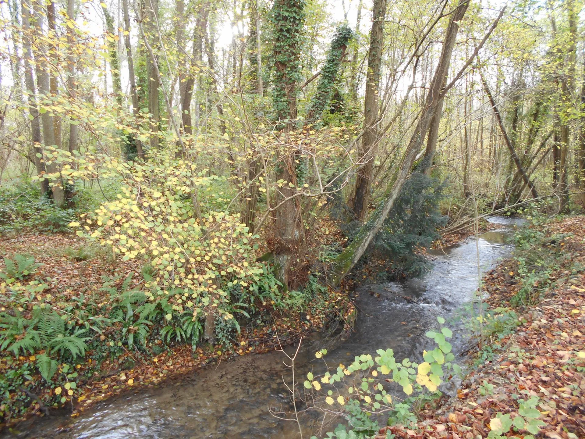 MAISON EN BOIS Région Pont-Audemer, Eure 27