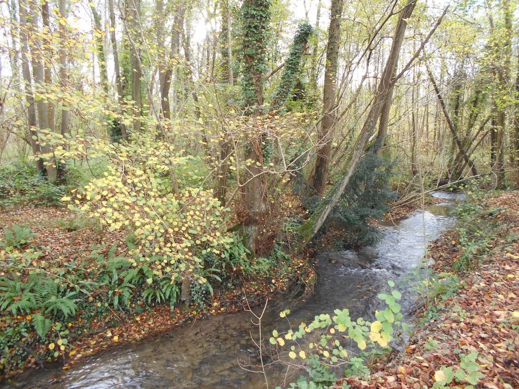MAISON EN BOIS Région Pont-Audemer, Eure 27