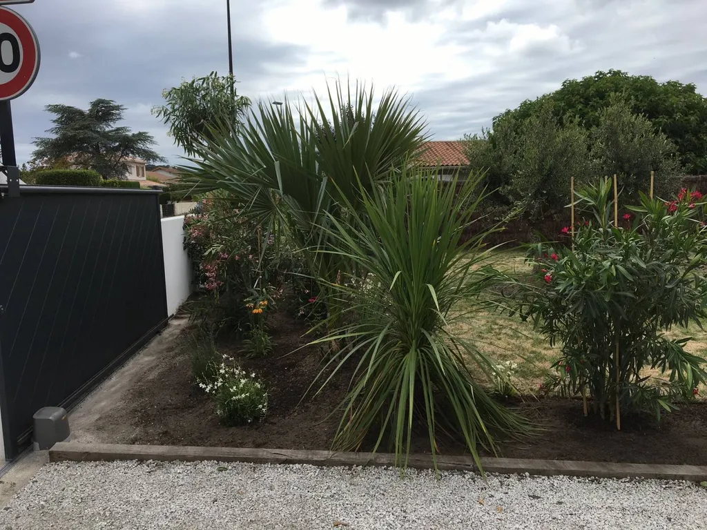 Comment créer un aménagement paysager vivant avec arbustes et vivaces pour un jardin intime à Gujan-Mestras