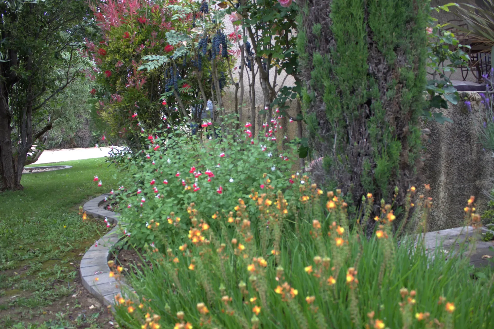 Entretien et taille des plantes vertes et arbres