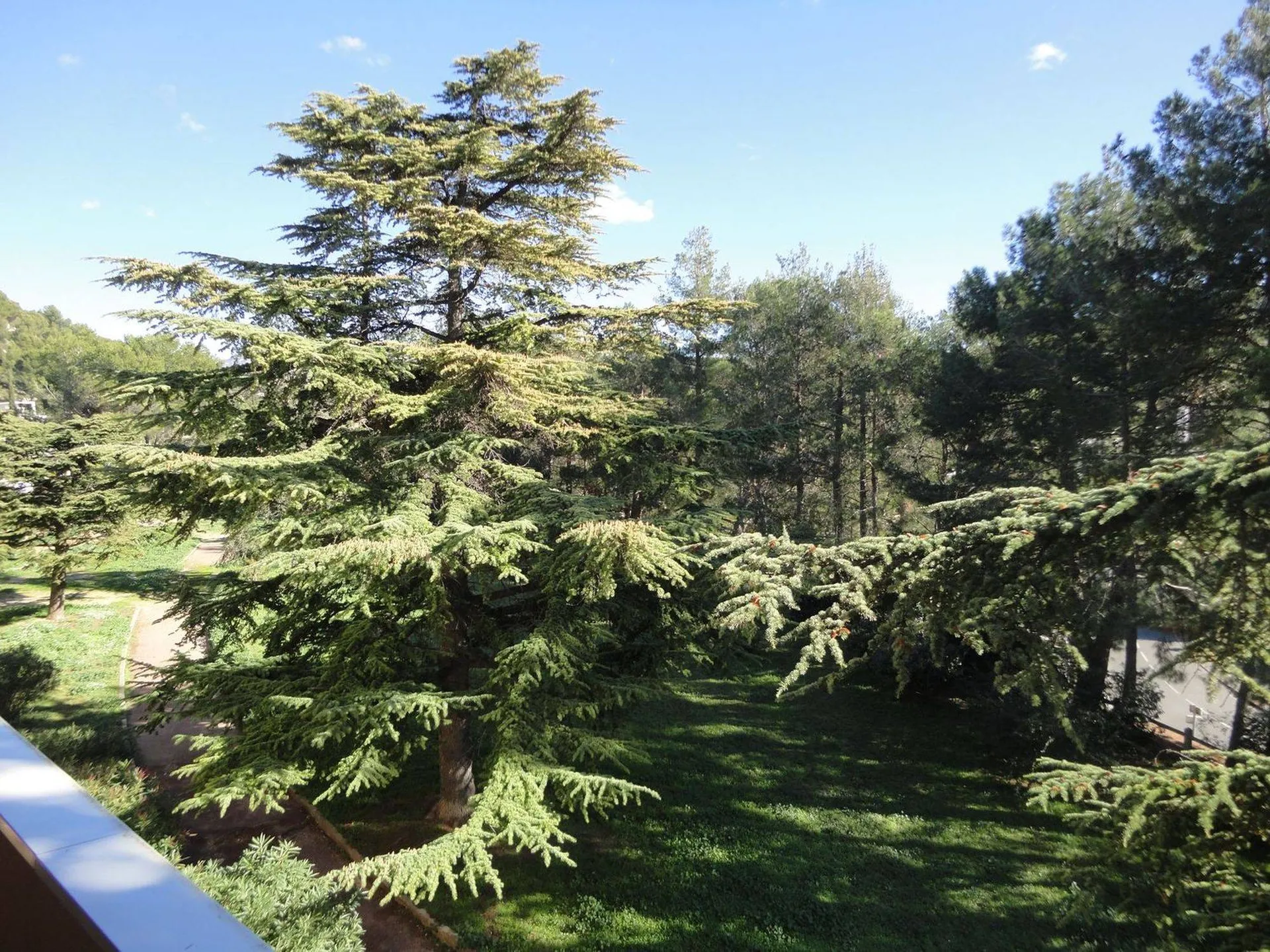 achat appartement carnoux