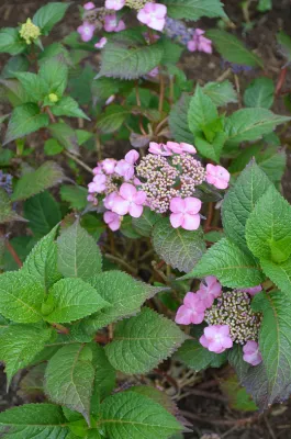 UNE RÉALISATION À LA HAUTEUR D'UN CHÂTEAU D'EXCEPTION SITUÉ DANS LE MÉDOC