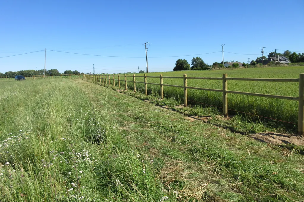 Pose de Clôtures de délimitation en bois, Ganivelles de Protection et Grillages sur Poteaux à Pont l'Évêque dans le Calvados 14 et ses Alentours