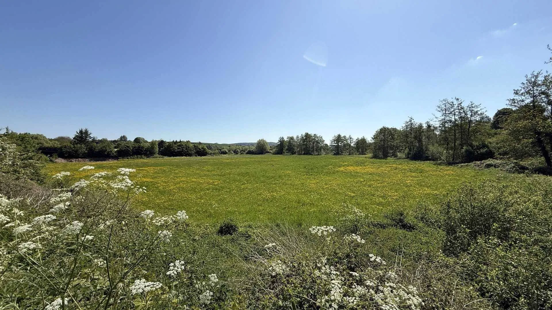 Terres et Demeures de Normandie : spécialiste des biens d’exception à vendre : Votre agence pour des propriétés uniques en Seine-Maritime.