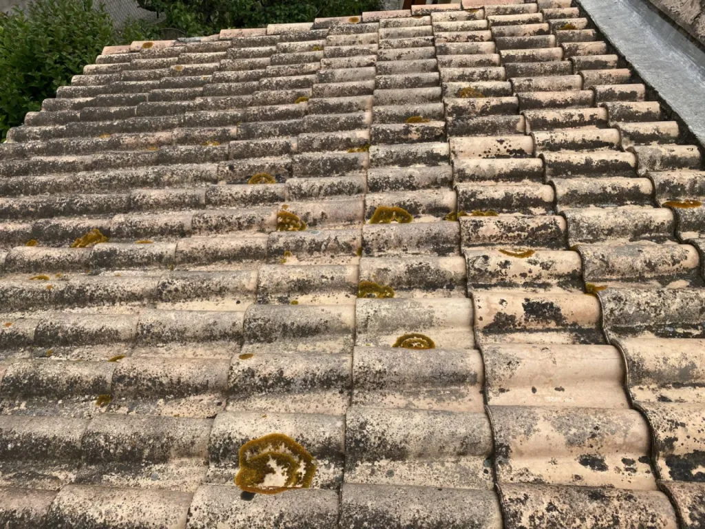 toiture avec mousse sur istres près de martigues