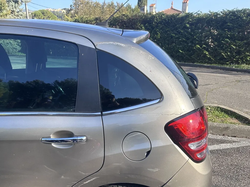 CUSTODE CITROEN C3