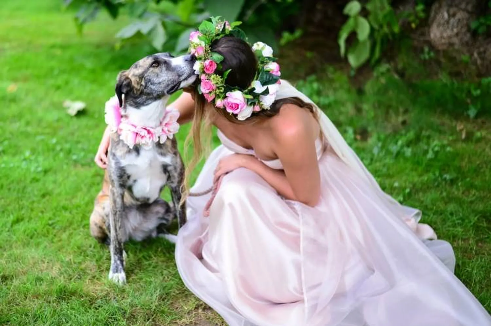 avoir son chien a son mariage
