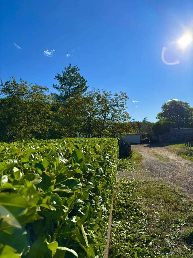 Taille de haies, arbustes et végétaux à Montpellier : entretien professionnel de votre jardin dans l’Hérault