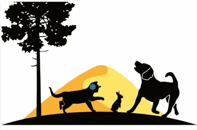 Lucie Renaud – Vétérinaire à La Hume, partenaire du Domaine des Animaux