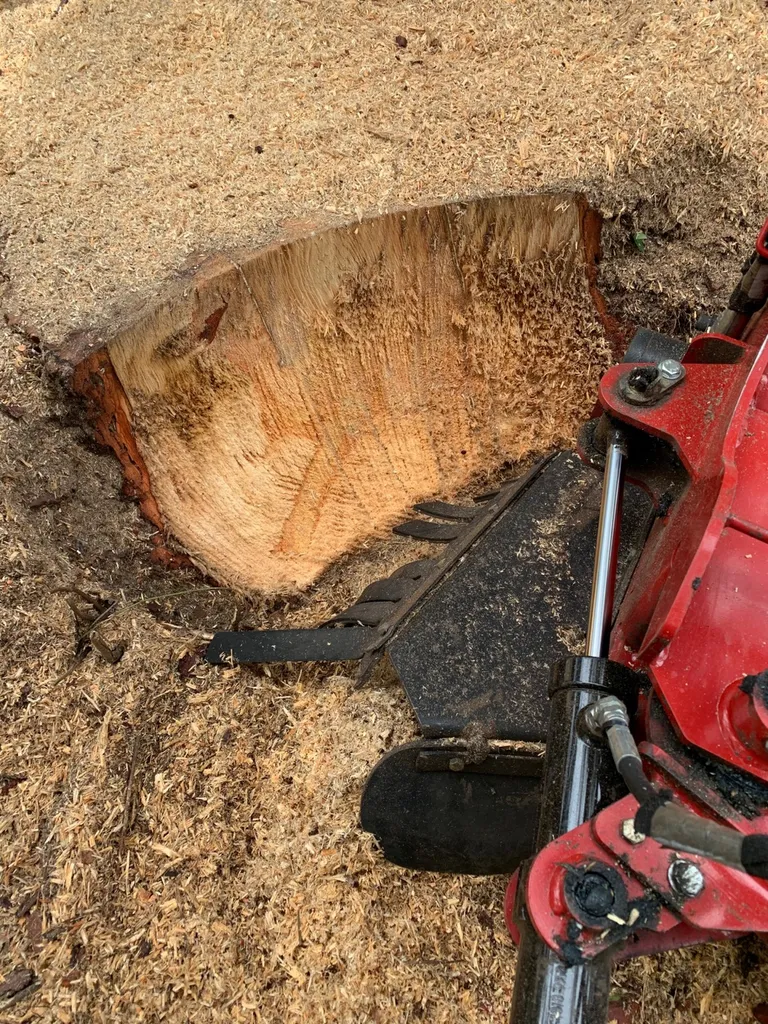 Grignoteuse de souche à Biscarrosse