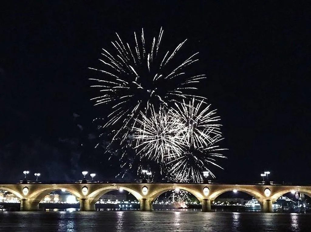 balade sur la Garonne en bateau à Bordeaux 