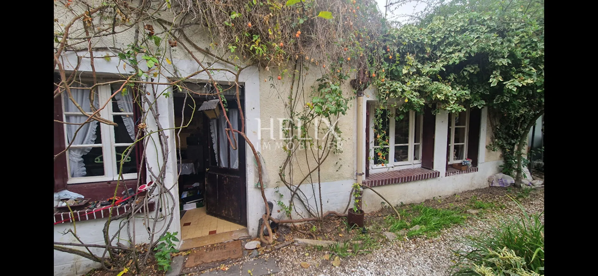 Ecrin de verdure maison domaine de Chatou à vendre chez Helix Immobilier