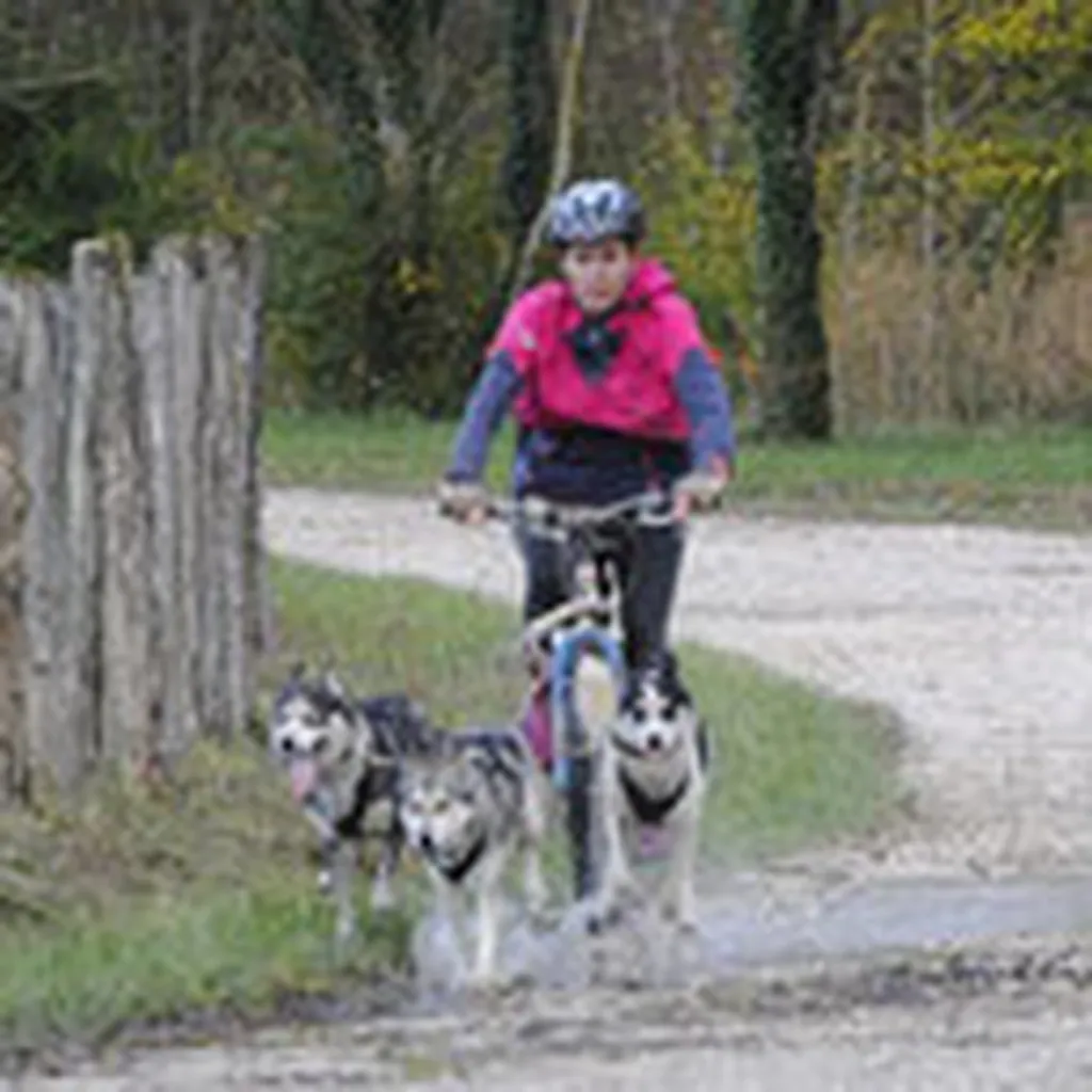 Consolin Avocats accompagne les victimes pour l’indemnisation des dommages matériels