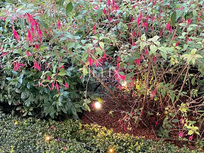 A vendre à Saint Germain en Laye, un appartement en duplex situé au 2ème 3ème et dernier étage d'un immeuble bien entretenu à Saint germain en Laye. 