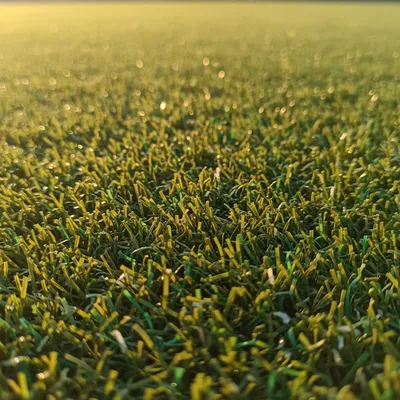 Gazon synthétique pour tennis en filaments fibrillés NSF en polypropylène à Cannes et vers Saint-Tropez