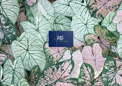 agence de communication dans le médical Paris