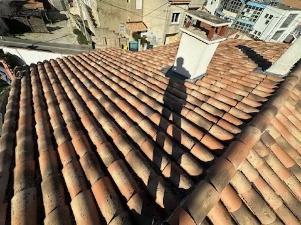 Intervention de couvreur pour un nettoyage de tuiles de toiture de maison près de Martigues 