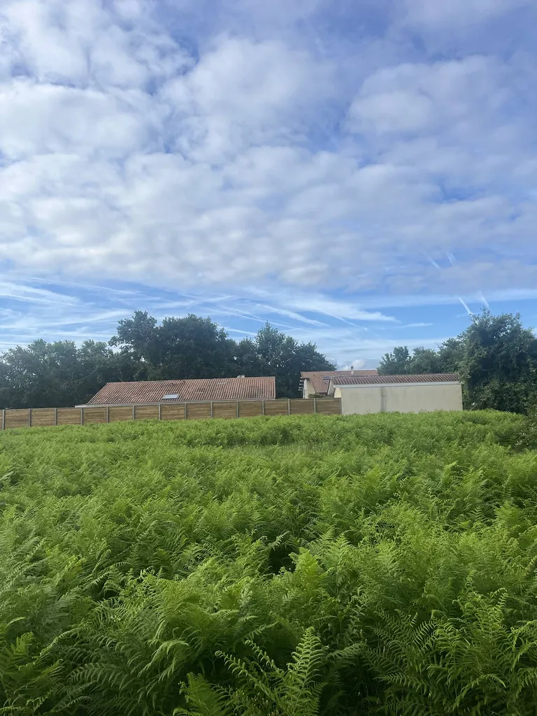 Débroussaillage sur mesure de votre terrain pour prévenir les risques d’incendie à Sainte-Eulalie-en-Born