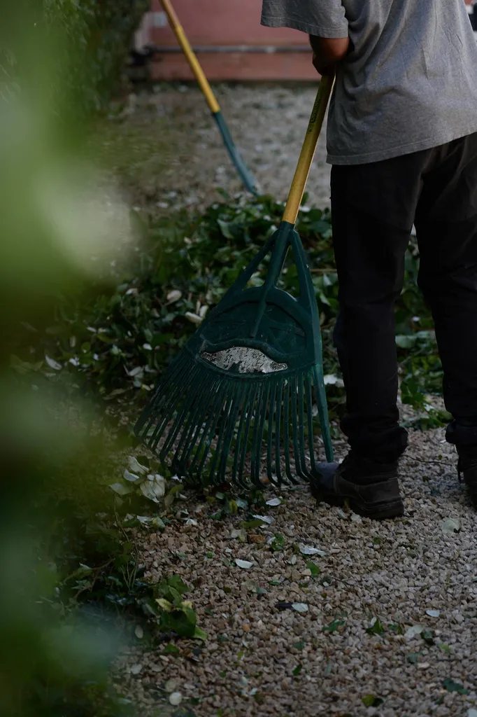 Entretien de jardin à Aix-en-Provence (13100) réalisé par nos équipes spécialisées.