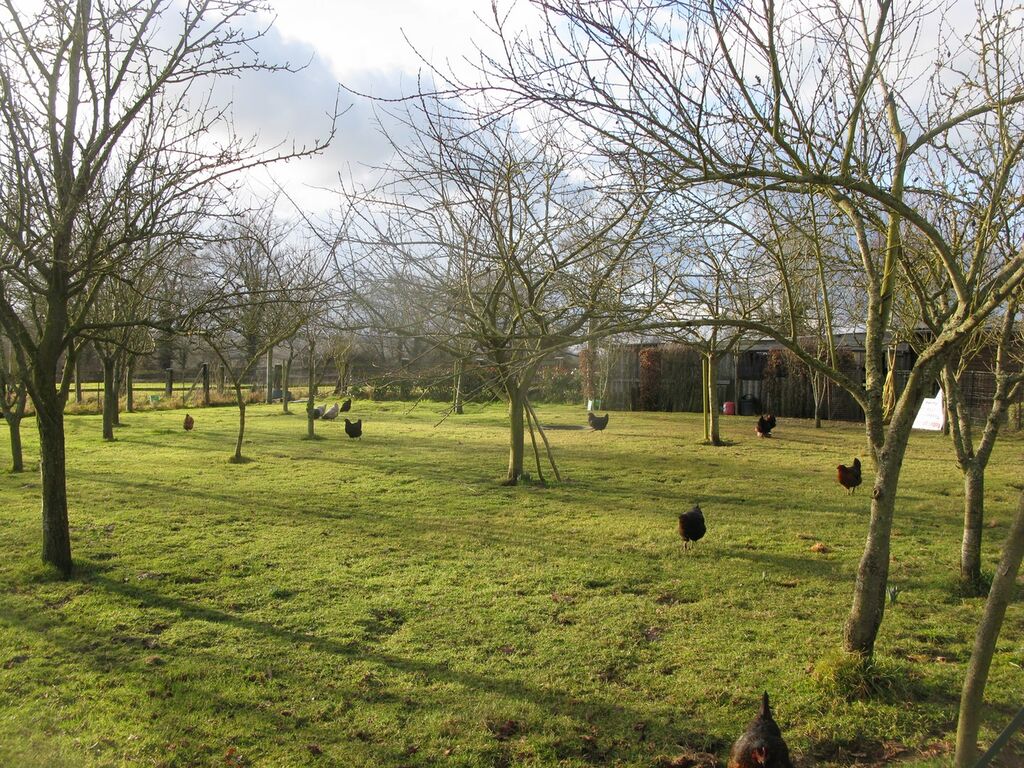 MAISON NORMANDE proche de LISIEUX, Calvados 14