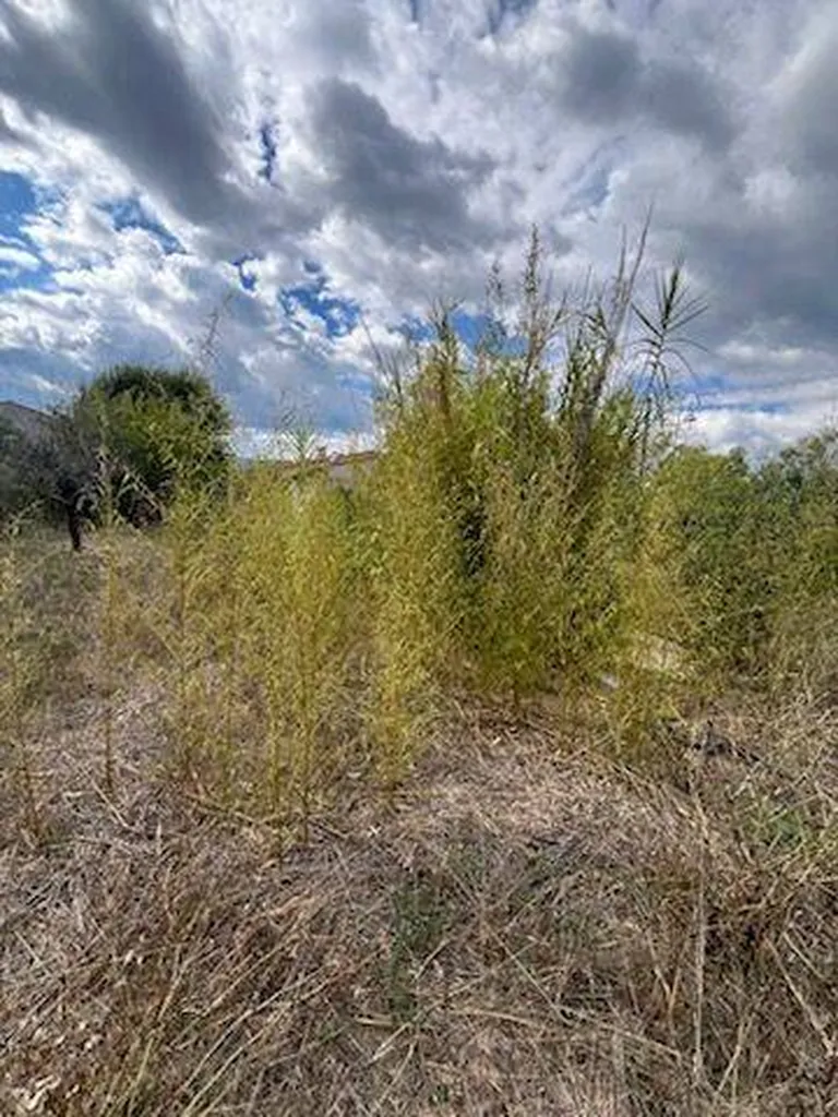terrain à vendre dans le Var