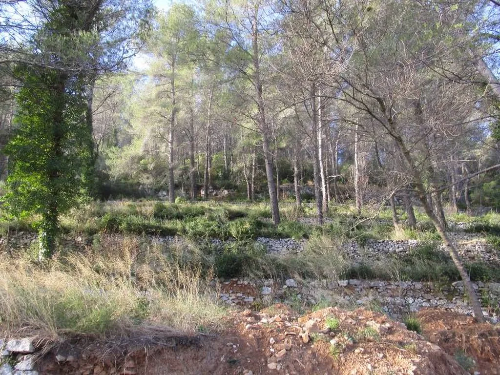 VENDU! Terrain de 2102 m² - SOLLIES-TOUCAS