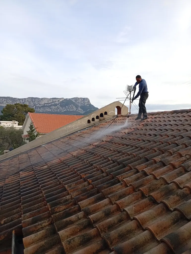 Nettoyage complet de toiture pour élimination des salissures à Brignoles
