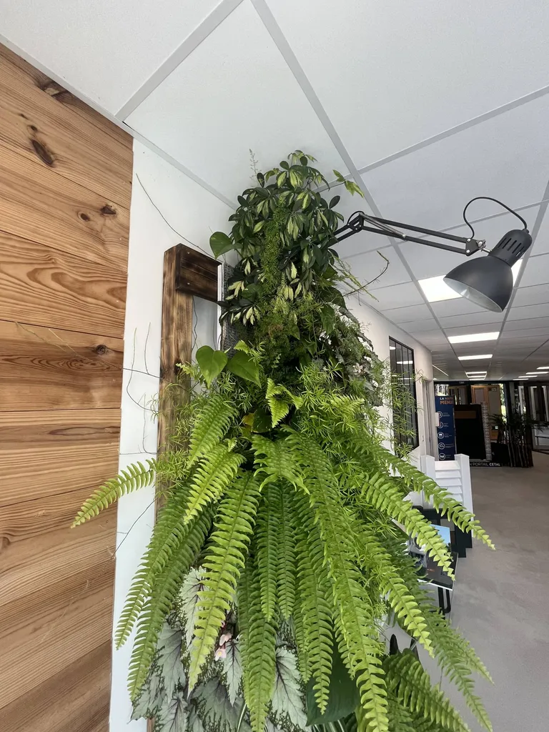 Optez pour un mur végétalisé d'intérieur pas cher à Sanguinet dans votre showroom