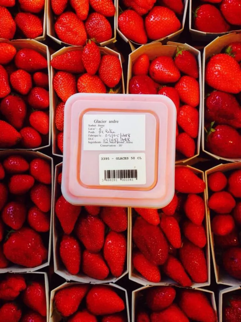 Sorbet Fraise artisanal 