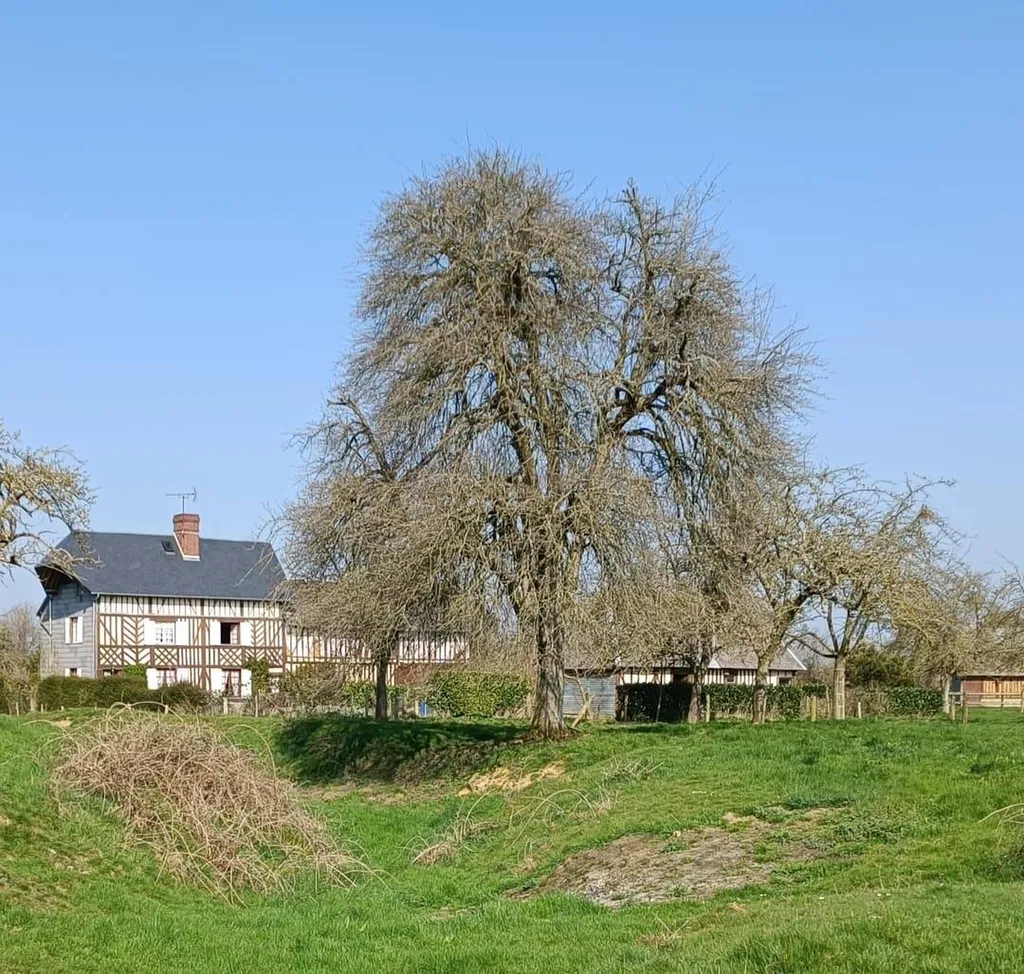 Nos prestations sur le secteur deLisieux 14100 dans le Calvados