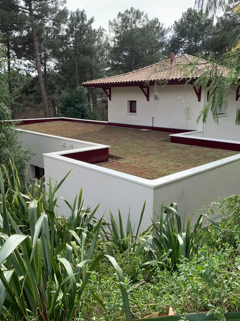 Installation d’une toiture végétalisée par un professionnel à Biscarrosse