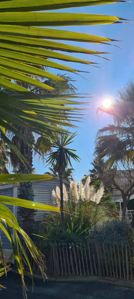Camping familial bord de mer et proche du Cap d'Agde à Vias