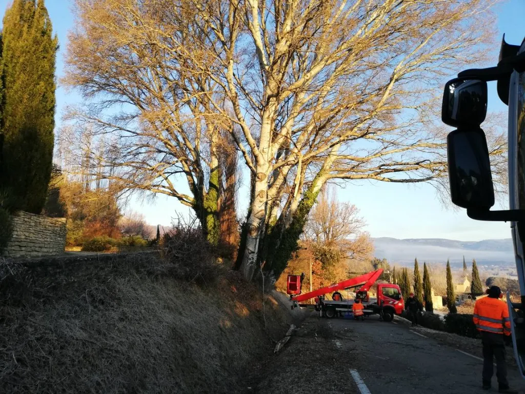 élagueurs pour enlever des arbres dangereux en bord de route à Gordes