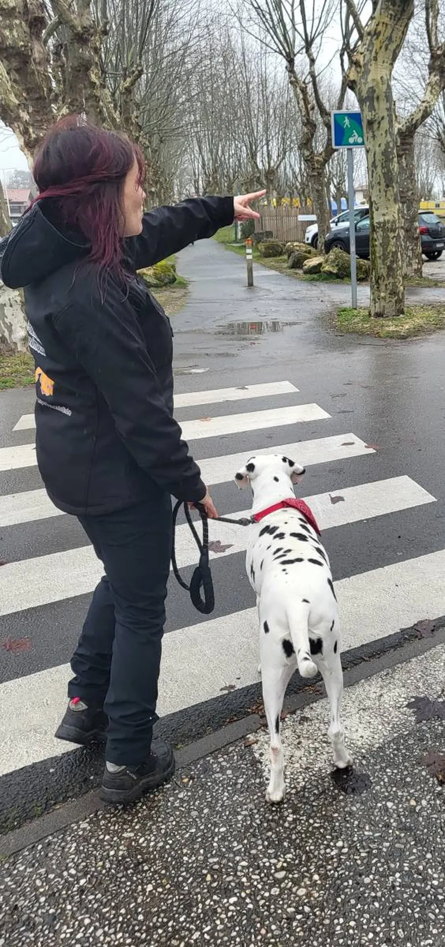 educatrice canin sur la teste