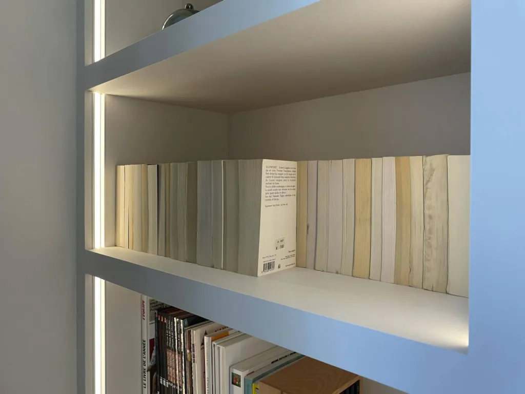 Conception Bibliothèque vidéo projecteur à Lyon