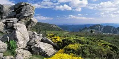 le parc naturel du Haut Languedoc proche de Vias plage bord de mer