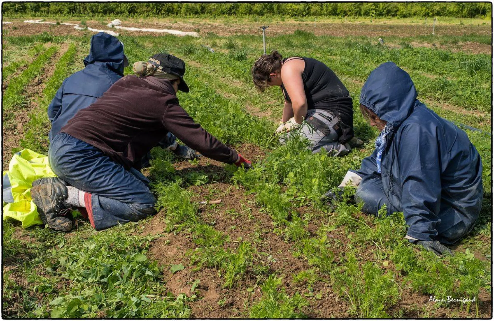 jardin de cocagne Macon