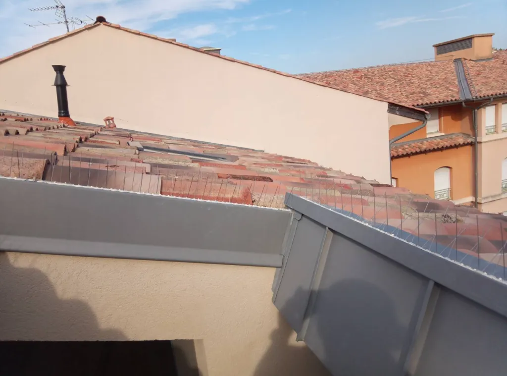 dépigeonnage à aix centre