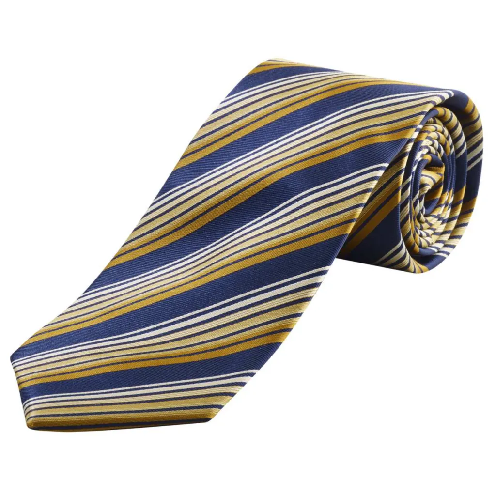 cravate e-commerce RAYURES POLYESTER MARINE_OR_MARRON