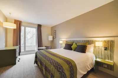 chambre confort forêt