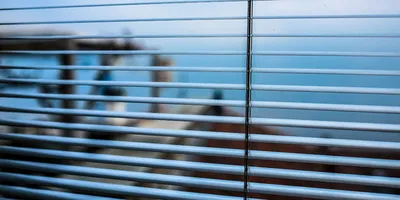 Store brise soleil orientables