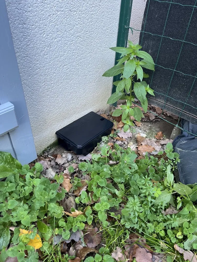 Nos prestations sur le secteur deà Toulouse et la Haute-Garonne